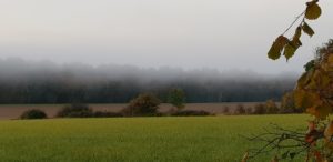 Clair obscur : comment la brume du petit matin nous mène à nous-même