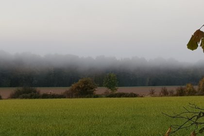 comment la brume du petit matin nous mène à nous-même