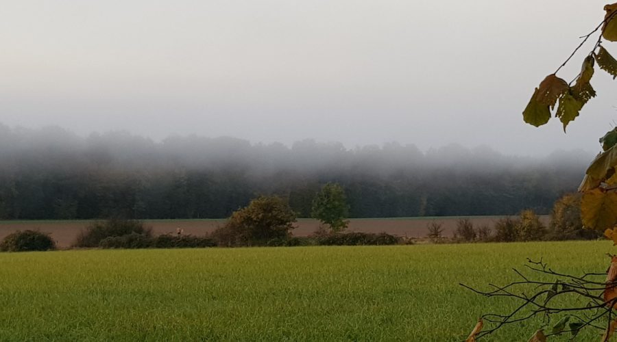 comment la brume du petit matin nous mène à nous-même