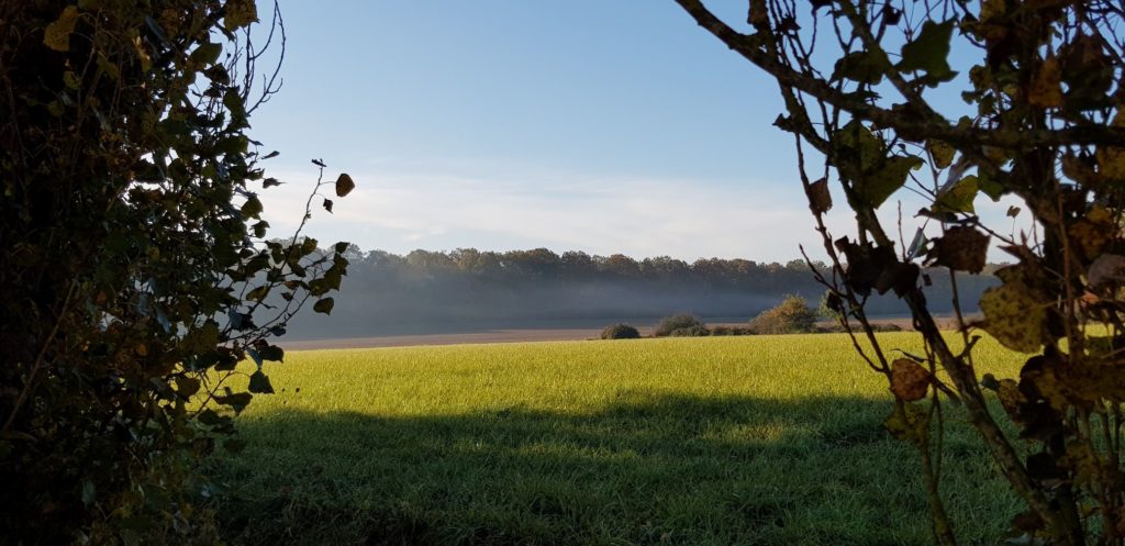 Notre chemin : quand la brume se lève sur nos vies, c'est une opportunité de découverte