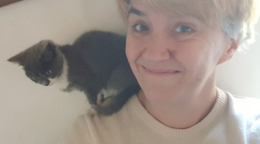 chère valeur de l'entraide : petit chat sur l'épaule