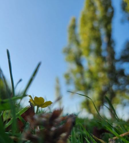 Ultrasensible, hypersensible, le monde votre monde est riche