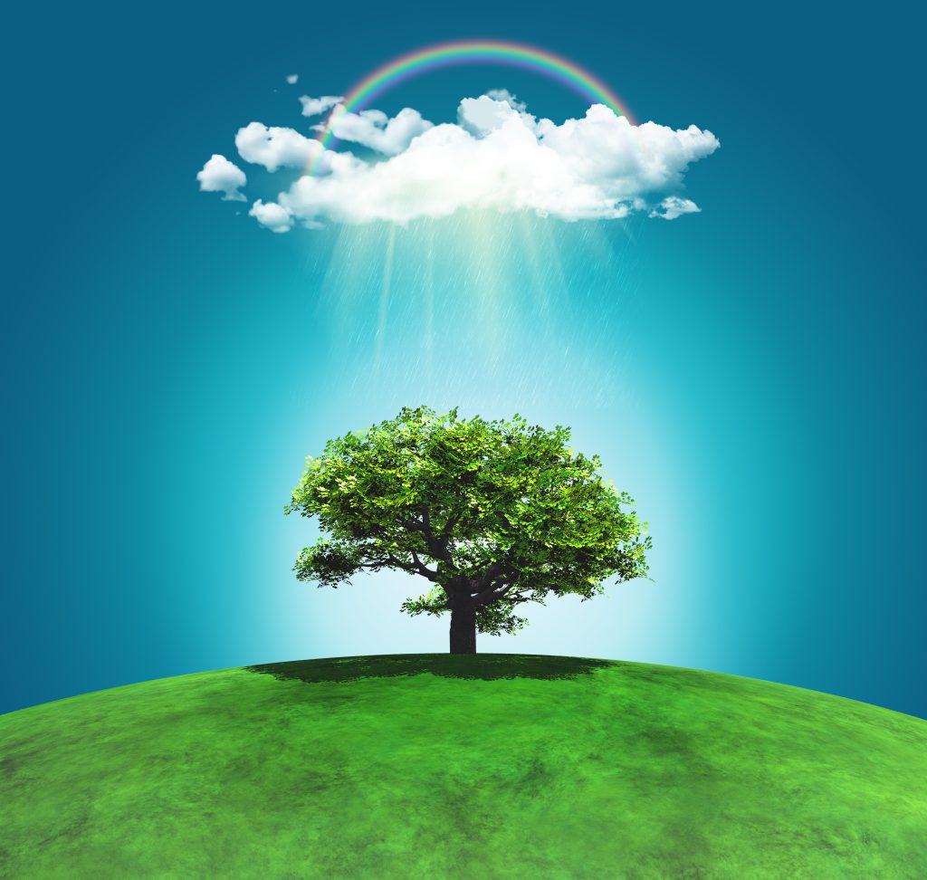 Illustration sophrologie-Rendu 3D d'un paysage herbeux incurvé avec un arbre, un arc-en-ciel et un nuage de pluie