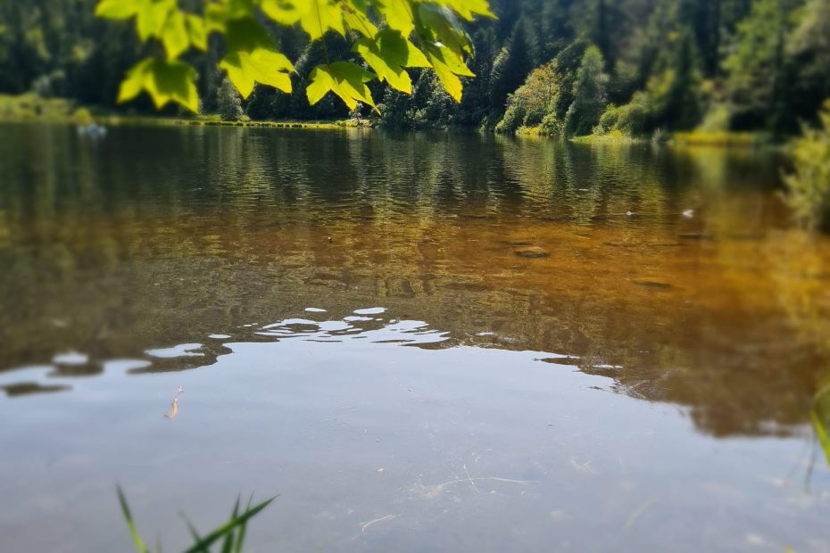 lac de blanchemer qui m'a aidée à guérir d'un petit trauma d'enfance