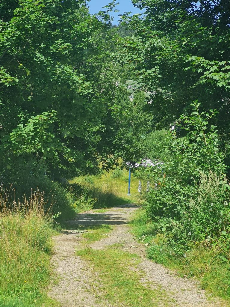 Petit chemin qui me fait retrouver de bons souvenirs (dont les mistrals gagnants!)