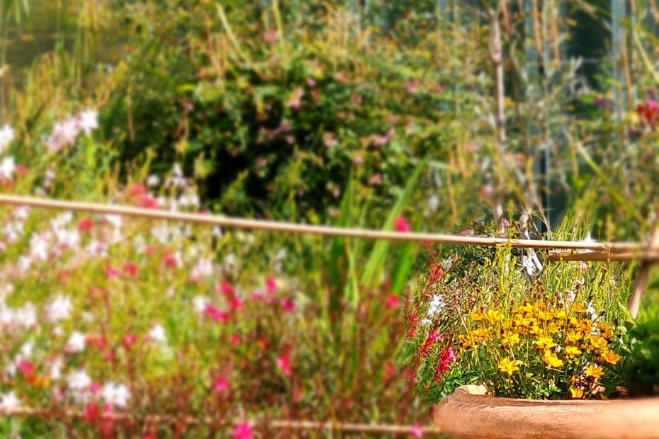 Hôpital Rothschild, jardin