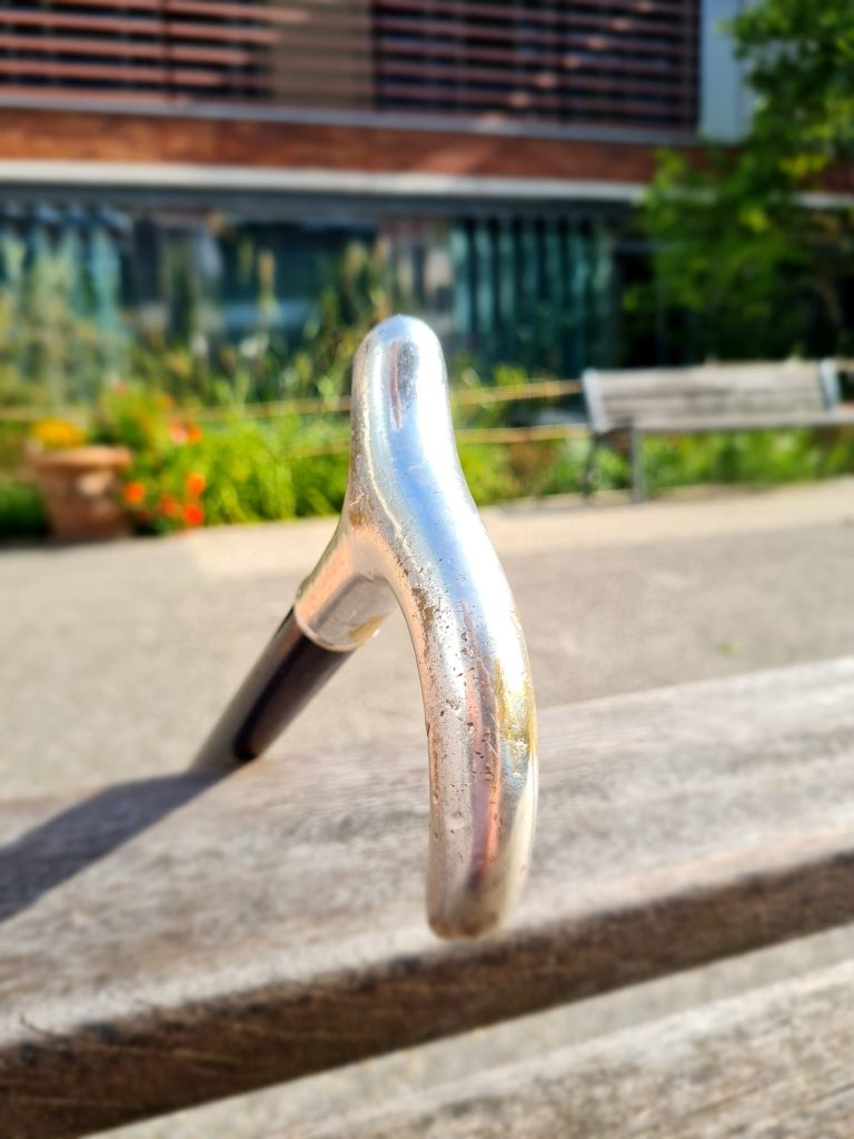 ma canne à pommeau argenté est mon amie. elle m'aide à être visible dans ma fragilité